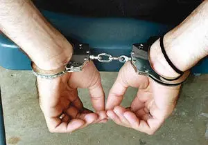 دستگیری ۵۰ نفر در پارتی مختلط شبانه