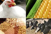 آخرین قیمت نهاده های دامی و کشاورزی