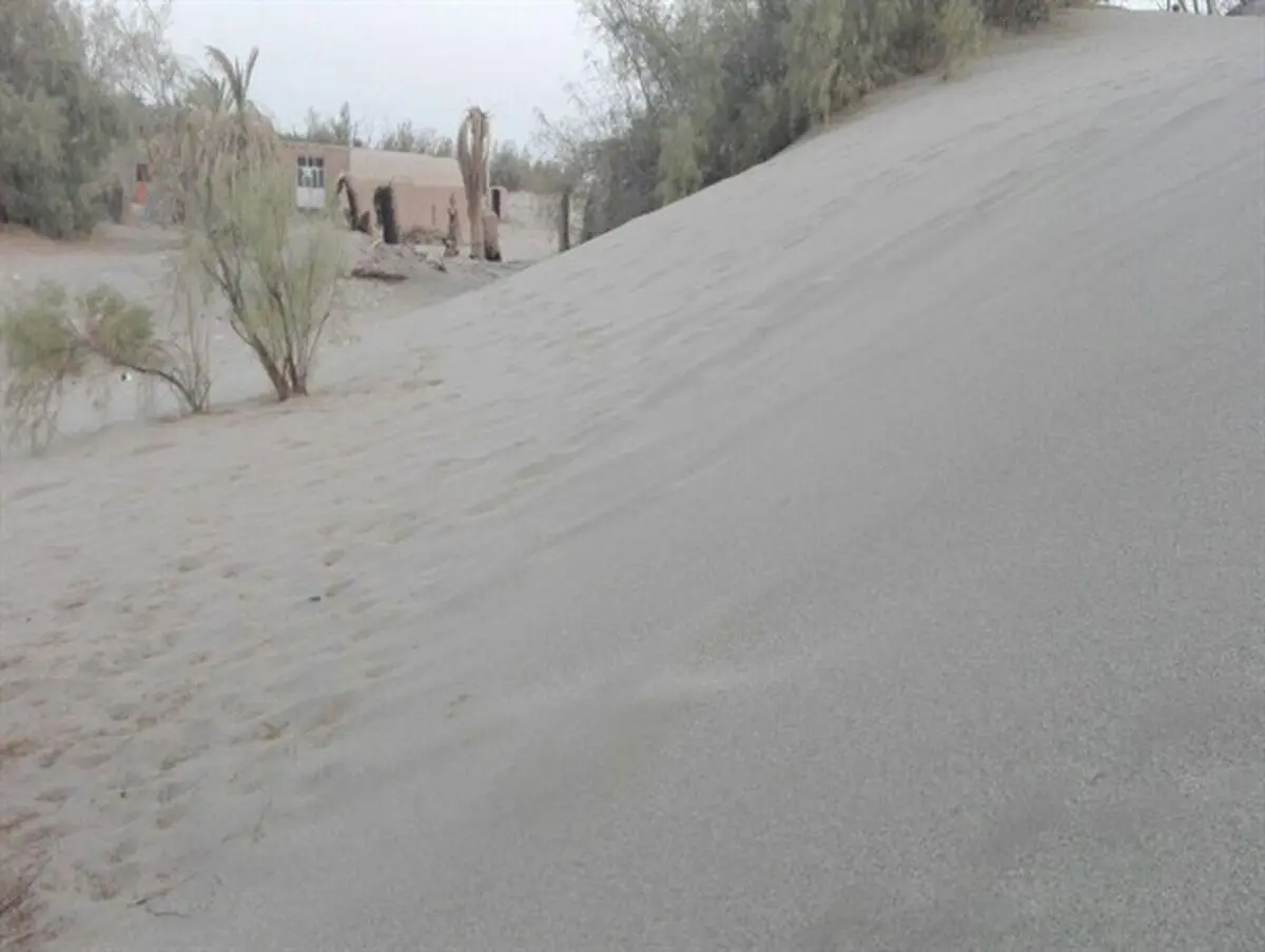 شنهای روان در حال بلعیدن روستای رضوانیه ریگان+تصاویر