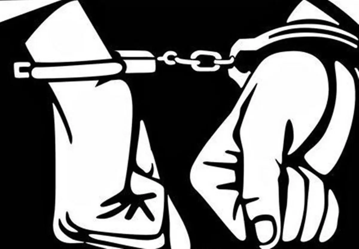 نیروی انتظامی از رشد 54 درصدی قاچاق کالا خبر داد