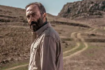 هادی حجازی‌فر با «موقعیت باکری»  به جشنواره فیلم فجر می‌رود