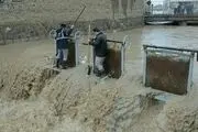 امدادرسانی تکاوران ارتش به سیل‌زدگان/ عکس