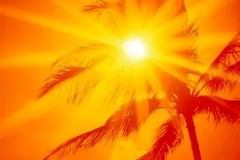 سه تاثیر خوب خورشید بر سلامتی