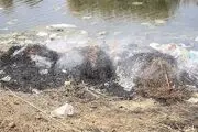 ناصری‌نژاد: جهانگیری قبول نکردند از تالاب‌ها بازدید کند