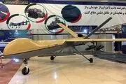 ترس مقامات صهیونیستی از پهپاد‌های ایرانی