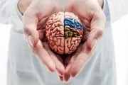 شناخت افراد جدید مغز را تقویت می‌کند
