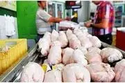 واردات محدود مرغ برای تامین ذخایر استراتژیک
