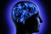 تقویت حافظه کوتا مدت با این روش