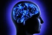 ۵ راهکار ساده و طلایی برای تقویت حافظه بلند مدت