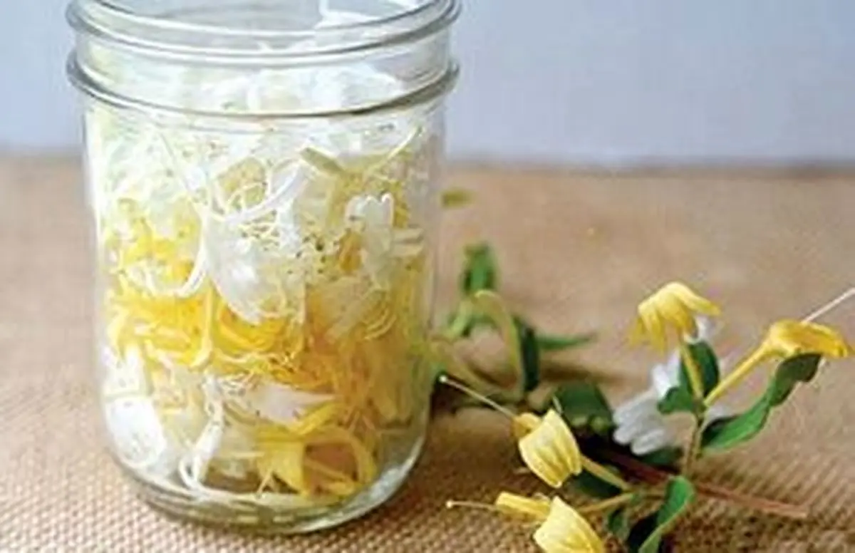 فوت وفنهای ساختن عطر خانگی