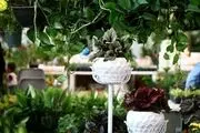 نمایشگاه گل و گیاه زنجان/ گزارش تصویری