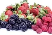 بهترین و بدترین خوراکی‌ها برای تیروئید