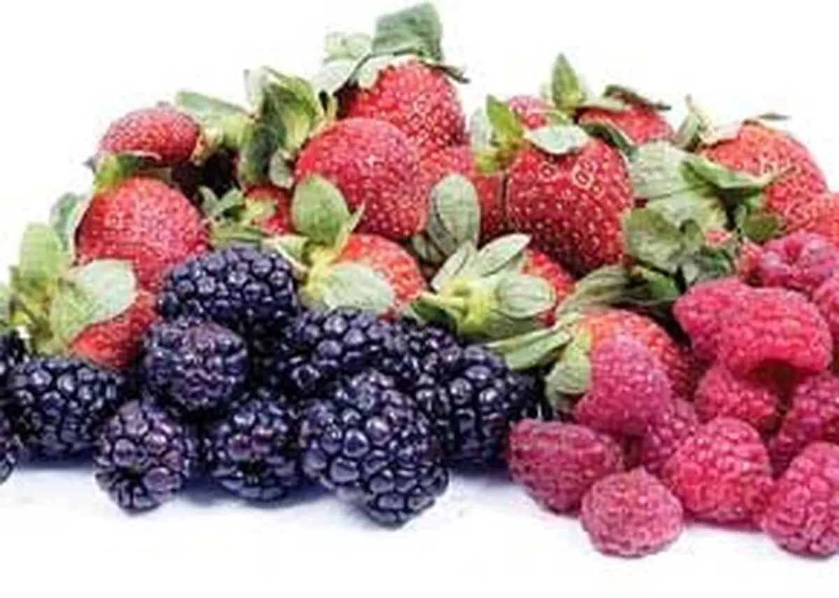 بهترین و بدترین خوراکی‌ها برای تیروئید