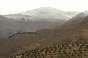بارش برف در ارتفاعات تهران