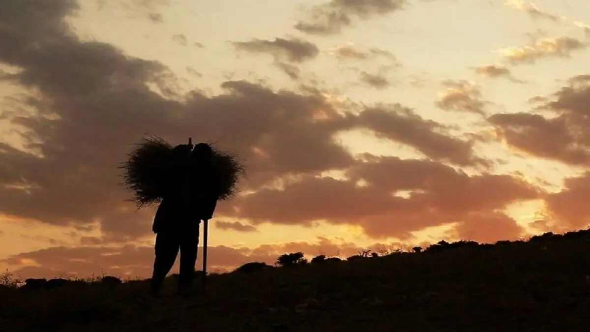 راز‌های «امید» از زبان پیرمرد ۸۰ ساله روستایی