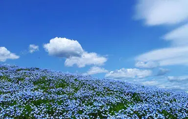 n00096731-r-b-006