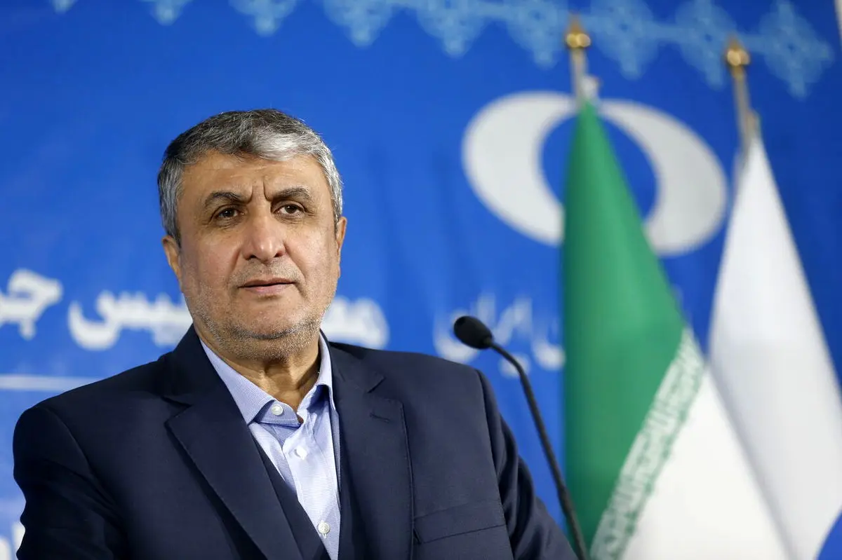 سازمان انرژی اتمی مکلف است ۱۰هزار مگاوات برق تولید کند