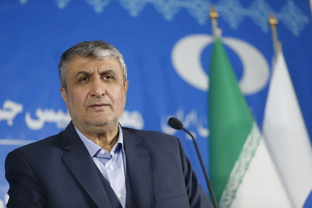 سازمان انرژی اتمی مکلف است ۱۰هزار مگاوات برق تولید کند