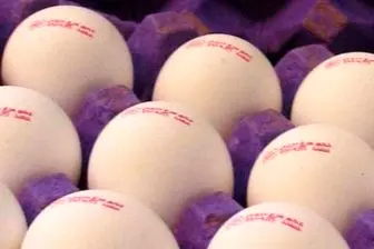 نرخ فروش تخم مرغ در میادین میوه و تره بار