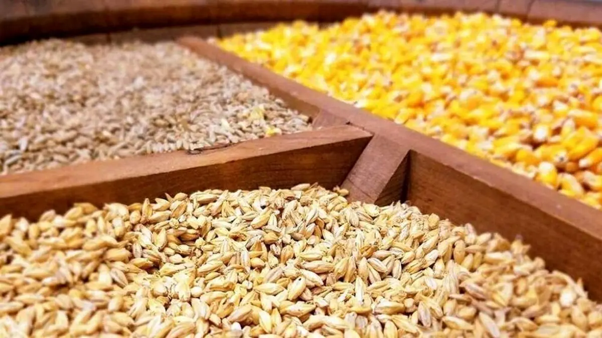 مشکلی در تامین نهادههای دامی تا پایان سال نداریم