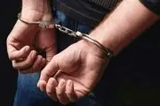 دستگیری یک اغتشاشگر حین ورود به ایران‌ در سرپل‌ذهاب