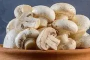 
قارچ گران شد؛ قیمت مصرف کننده کیلویی چند؟
