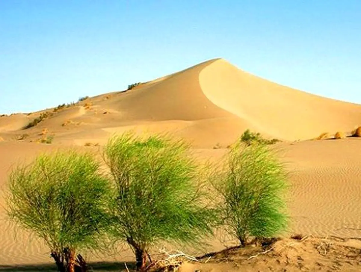 یک درصد بیابانهای طبس طی 53 سال بیابانزدایی شد