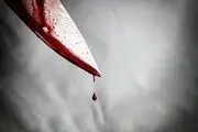 دخترکشی فجیع در جنوب تهران: دخترم آبروی مرا برده بود!
