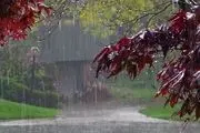 بارندگی شدید در شمال کشور؛ از تردد غیر ضروری خودداری کنید