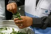 فروش سبزی خوردن و سالاد خانگی ممنوع شد
