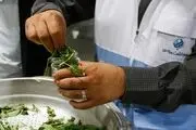 فروش سبزی خوردن و سالاد خانگی ممنوع شد