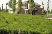 وقتی قانون یارای مقابله با ویلاسازی را ندارد