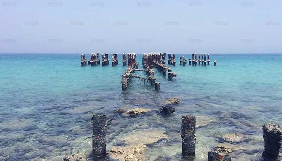 تور کیش از شیراز

