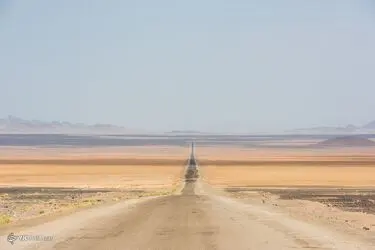 14481499_335