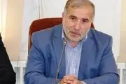 واردات خودرو باید به نفع مردم تمام شود / اختصاص سهمیه واردات خودرو به خودروسازان اشتباه است