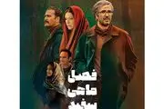 محمدرضا فروتن با «فصل ماهی سفید» در سینما  