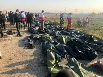 انتقال اجساد سقوط هواپیما به پزشکی قانونی استان تهران