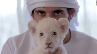 ممنوع شدن حیوان خانگی "درنده" در امارات