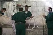 روایتی تکان دهنده از غسلخانه بهشت زهرا / فیلم