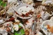 ایرانی‌ها چقدر غذا دور می‌ریزند؟