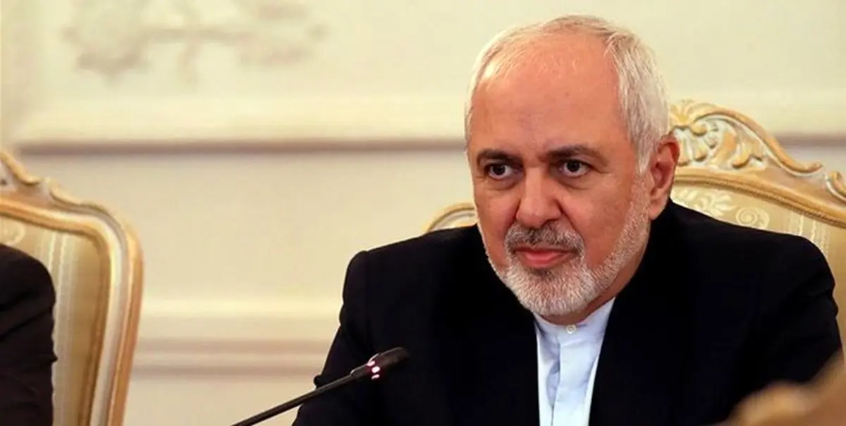 پاسخ زیرکانه ظریف به توئیت برایان هوک