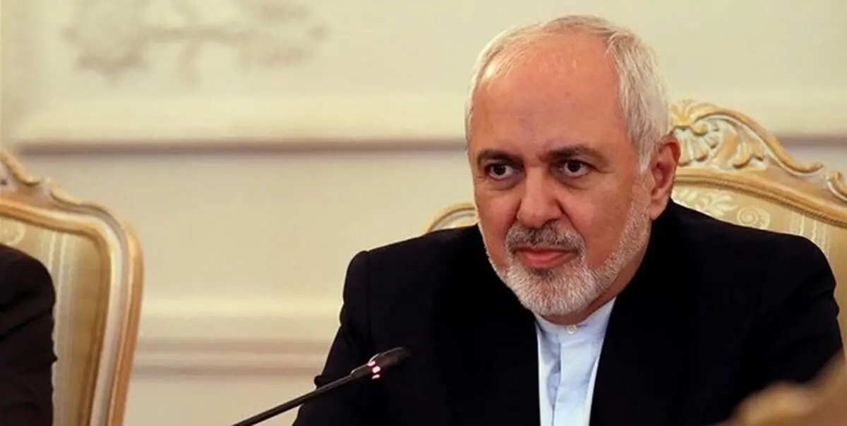 پاسخ زیرکانه ظریف به توئیت برایان هوک