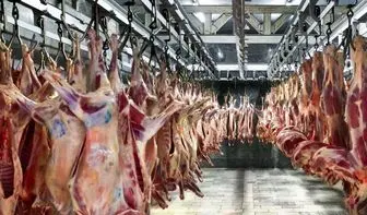 محدودیتی در توزیع گوشت های وارداتی وجود ندارد