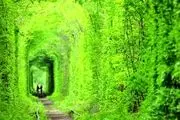 تونل عشق کجاست؟/ گزارش تصویری