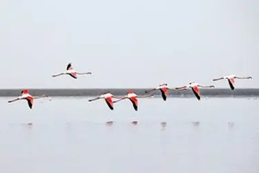 13951214001167636242323819287468_72335_PhotoU