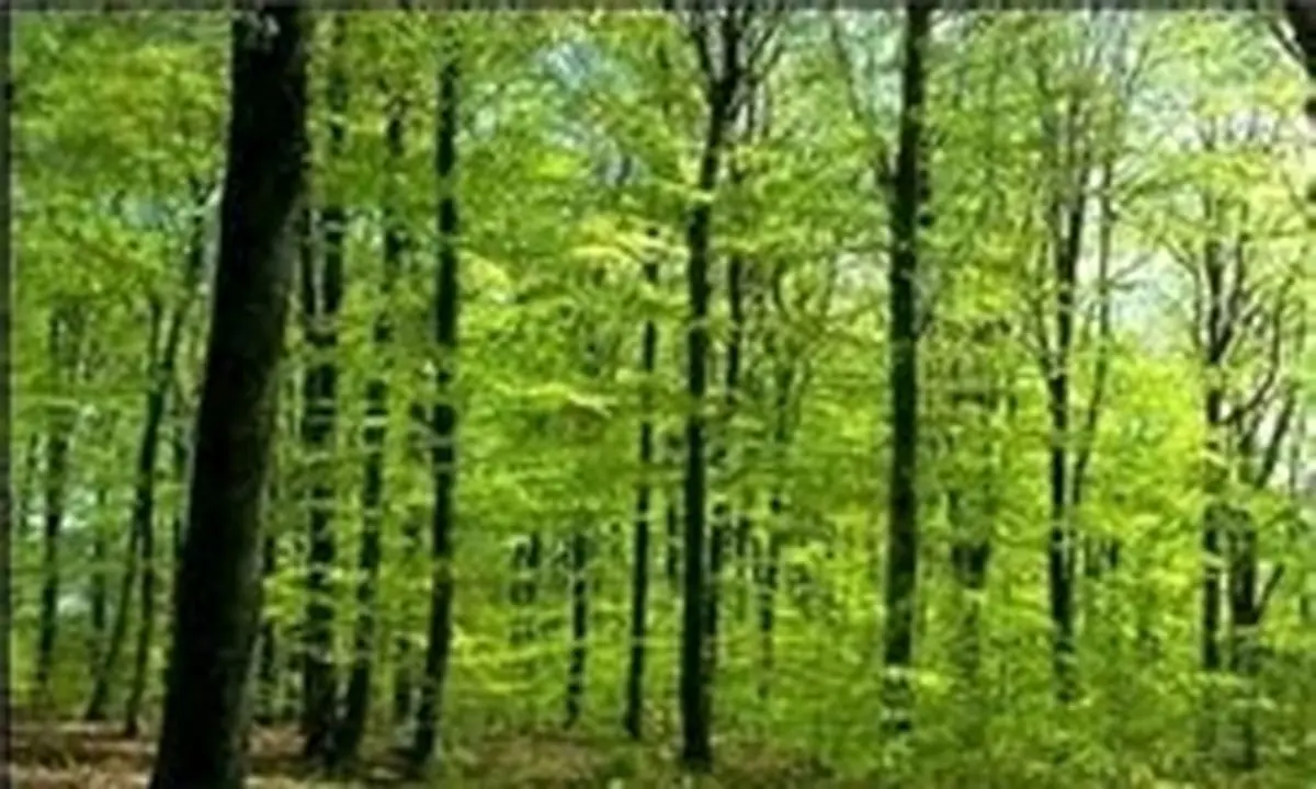 بیابان زیبا در شمال آفریقا به روایت تصویر