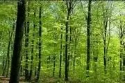 بیابان زیبا در شمال آفریقا  به روایت تصویر