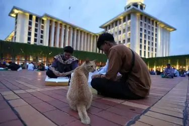 ماه مبارک رمضان در سراسر جهان