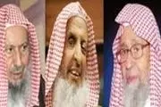 انتقاد «دیدبان حقوق بشر» از «نفرت‌پراکنی» عربستان علیه شیعیان