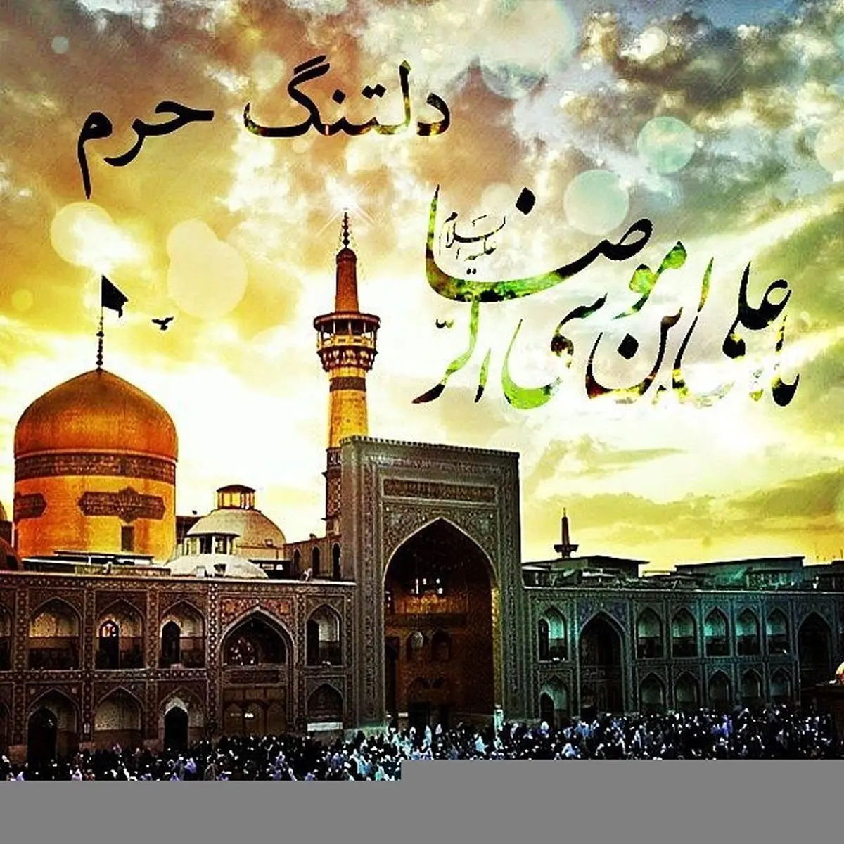 بسته شعری درباره شهادت امام رضا (ع)